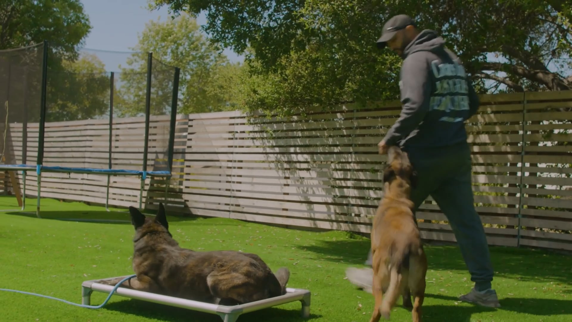 Jas Leverette, California K9 Solutions® and his team were just voted by readers Best Dog Trainer for 2021 in Metro's Best of Silicon Valley. Every year since 2012! They offer expert modern dog training services in San Jose, the San Francisco Bay Area, Los Angeles, and online. The Cali K9® 5-Pillar Modern Dog Training Method includes beginning through advanced on-leash and off-leash formal dog obedience, behavior modification, and agility, modern puppy training, pet wellness, socialization, aggressive dog rehabilitation, advanced off-leash task-oriented dog training, working dog and dog sport training, and law enforcement K9 training.