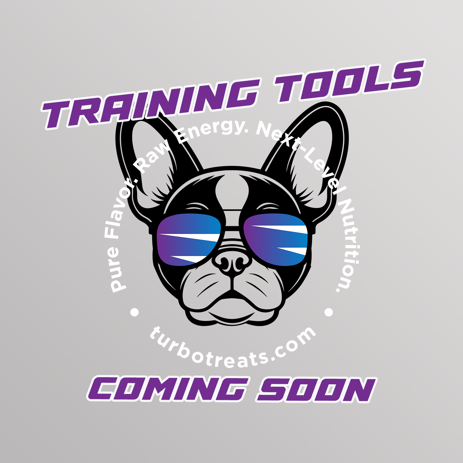 turbo-treats-training-tools-2